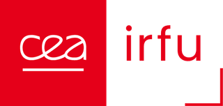 CEA IRFU